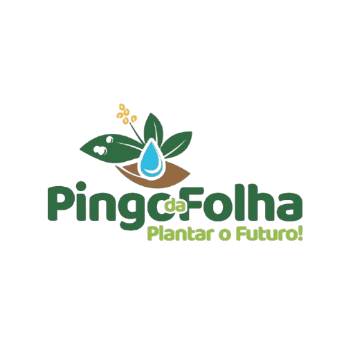 Pingo da Folha