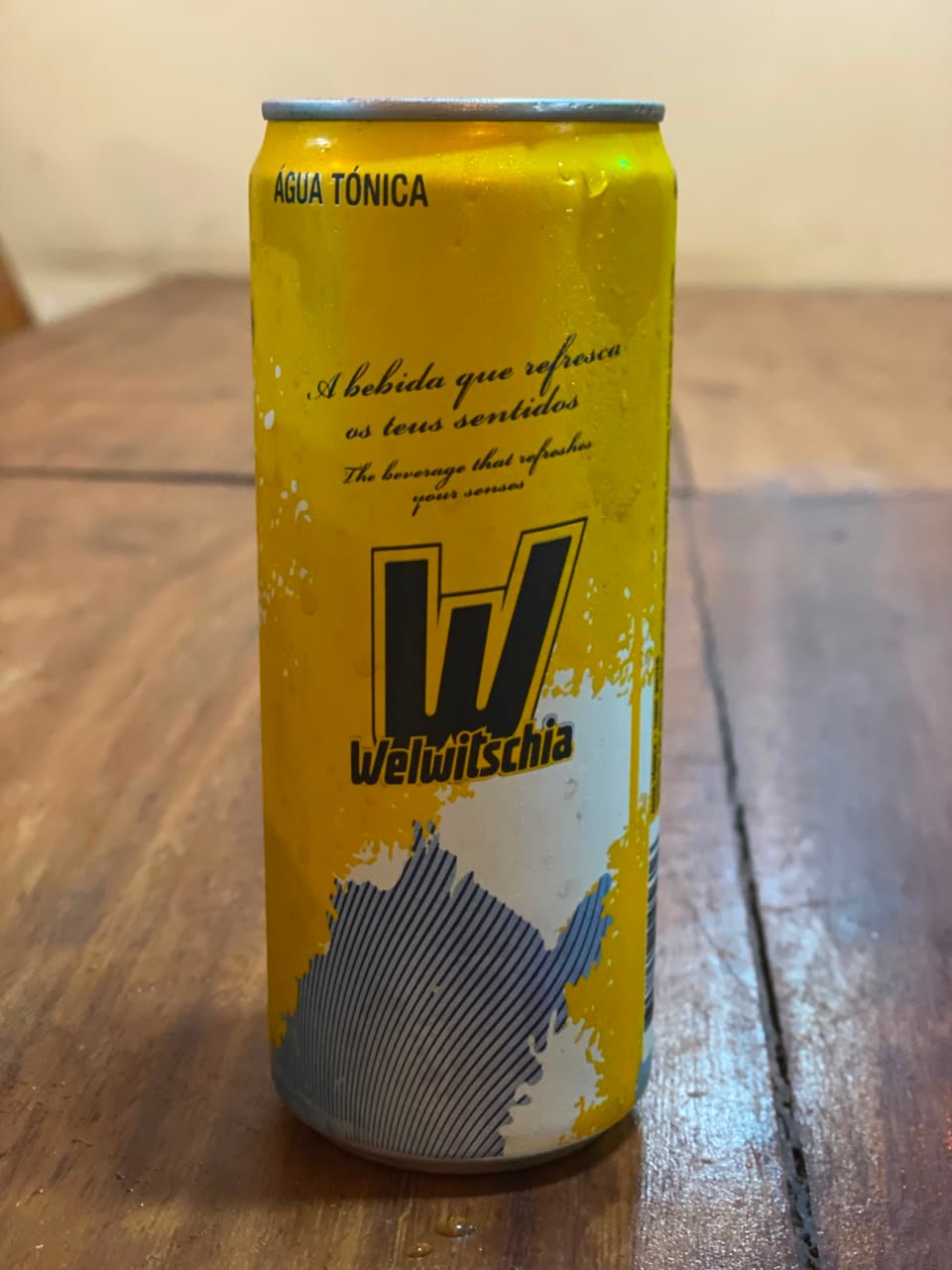 Água Tónica